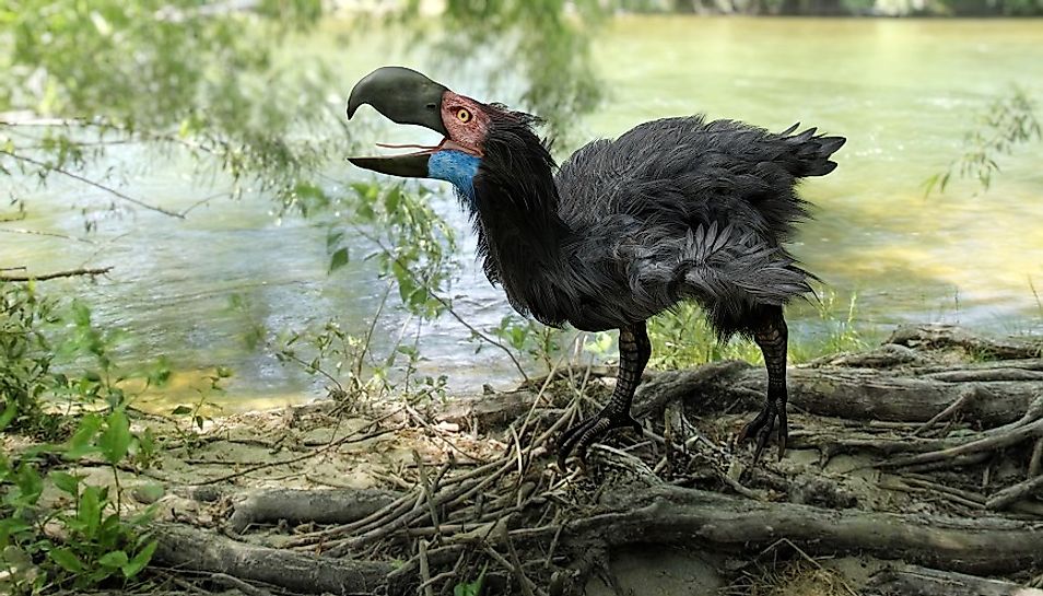 The Gastornis, or Terror Bird, was populous during the Eocene epoch.