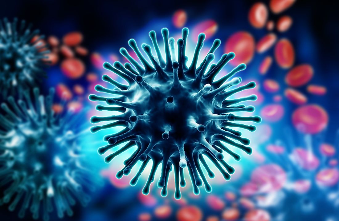 Influenza virus H1N1 (also known as swine flu). 