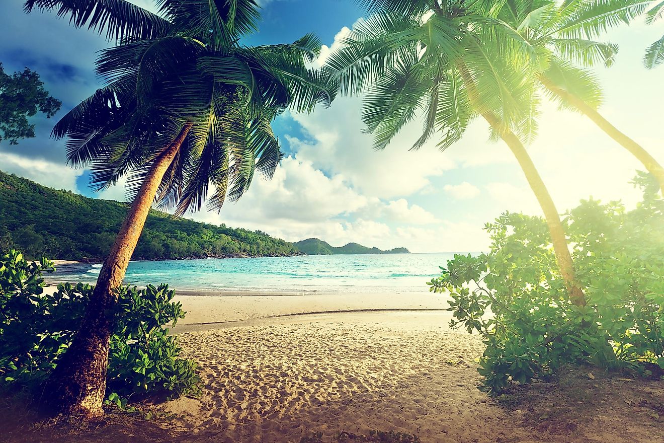 Sunset on the beach Takamaka, Mahe island, Seychelles. Image credit: ESB Professional/Shutterstock.com