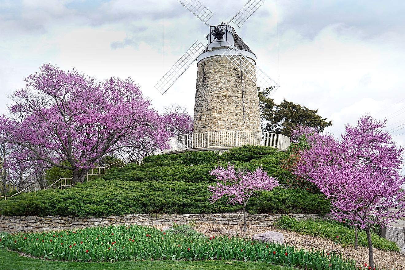 Windmill in Wamego City Park among purple trees.