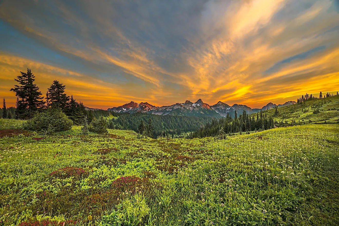 Mount Rainier National Park is an American national park located in Washington state. 
