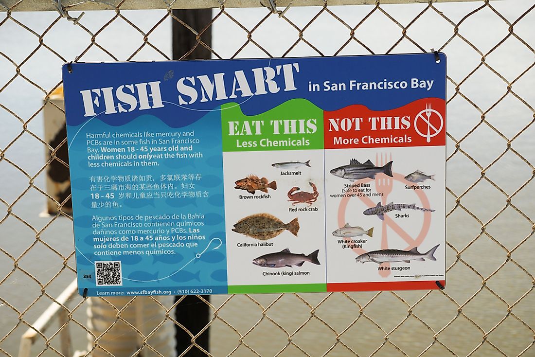 Bioaccumulation of heavy metals such as mercury can damage aquatic wildlife populations. Editorial credit: Sundry Photography / Shutterstock.com
