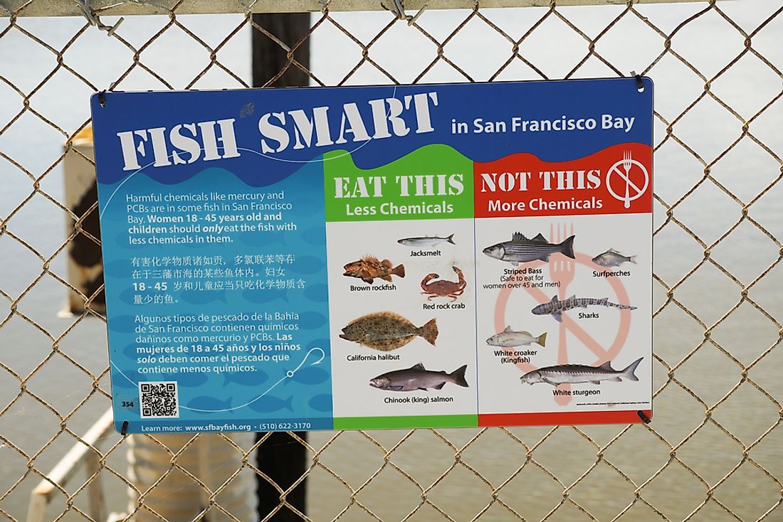 Bioaccumulation of heavy metals such as mercury can damage aquatic wildlife populations. Editorial credit: Sundry Photography / Shutterstock.com