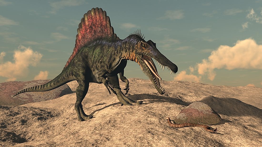 A 3D rendering of a Spinosaurus. 