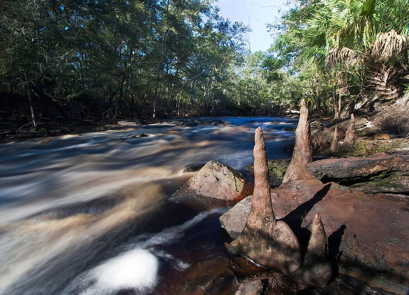 Rapids in the Aucilla River