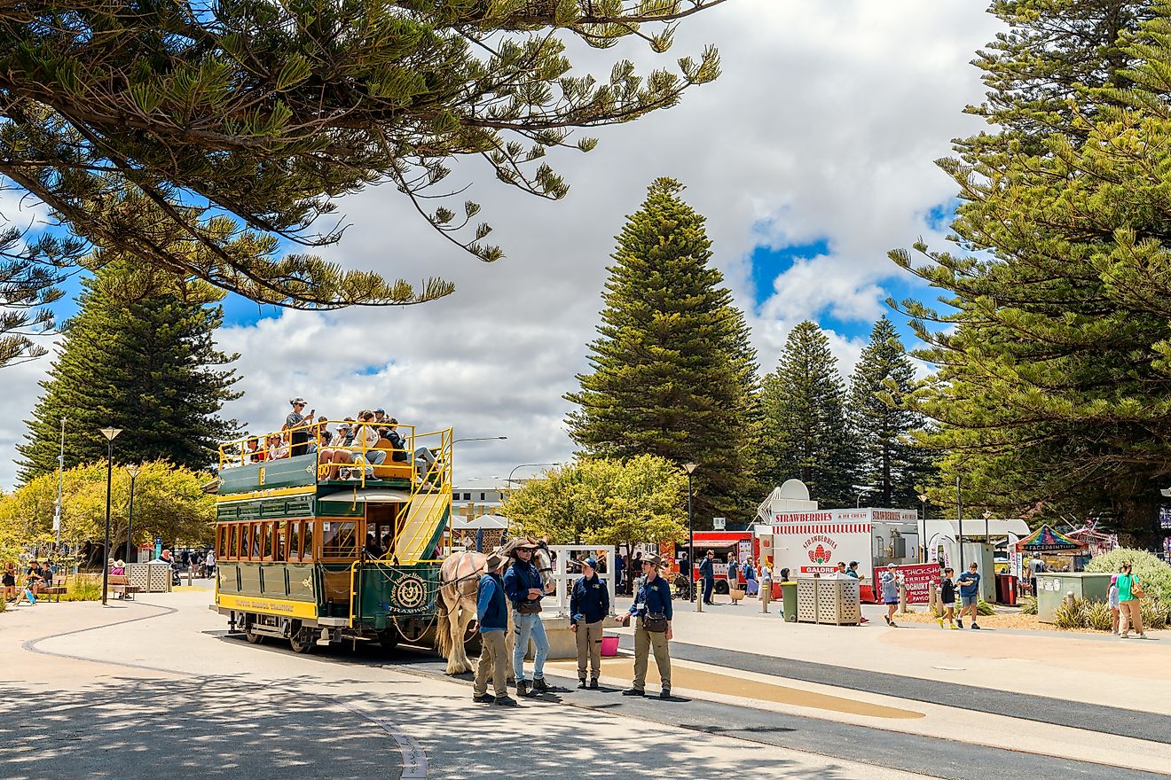 Horse-drawn tram in Victor Harbor, South Australia. Editorial credit: myphotobank.com.au / Shutterstock.com.
