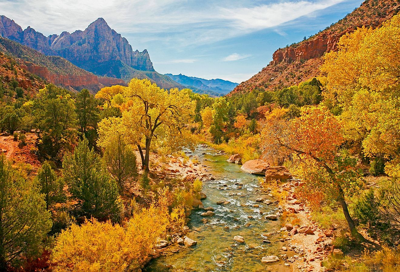 The Virgin River in Zion National Park, Utah during the fall season.