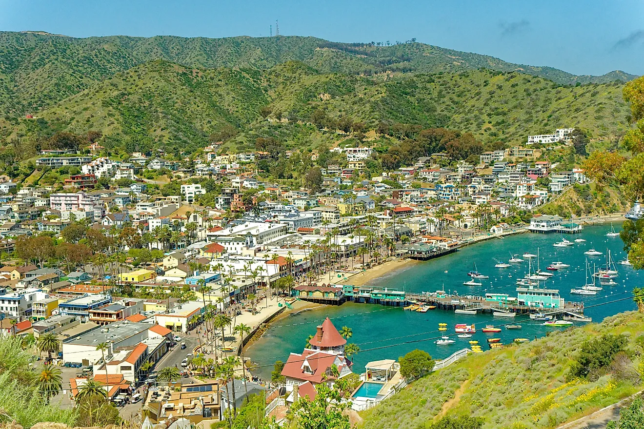 Aerial view of Avalon, California.