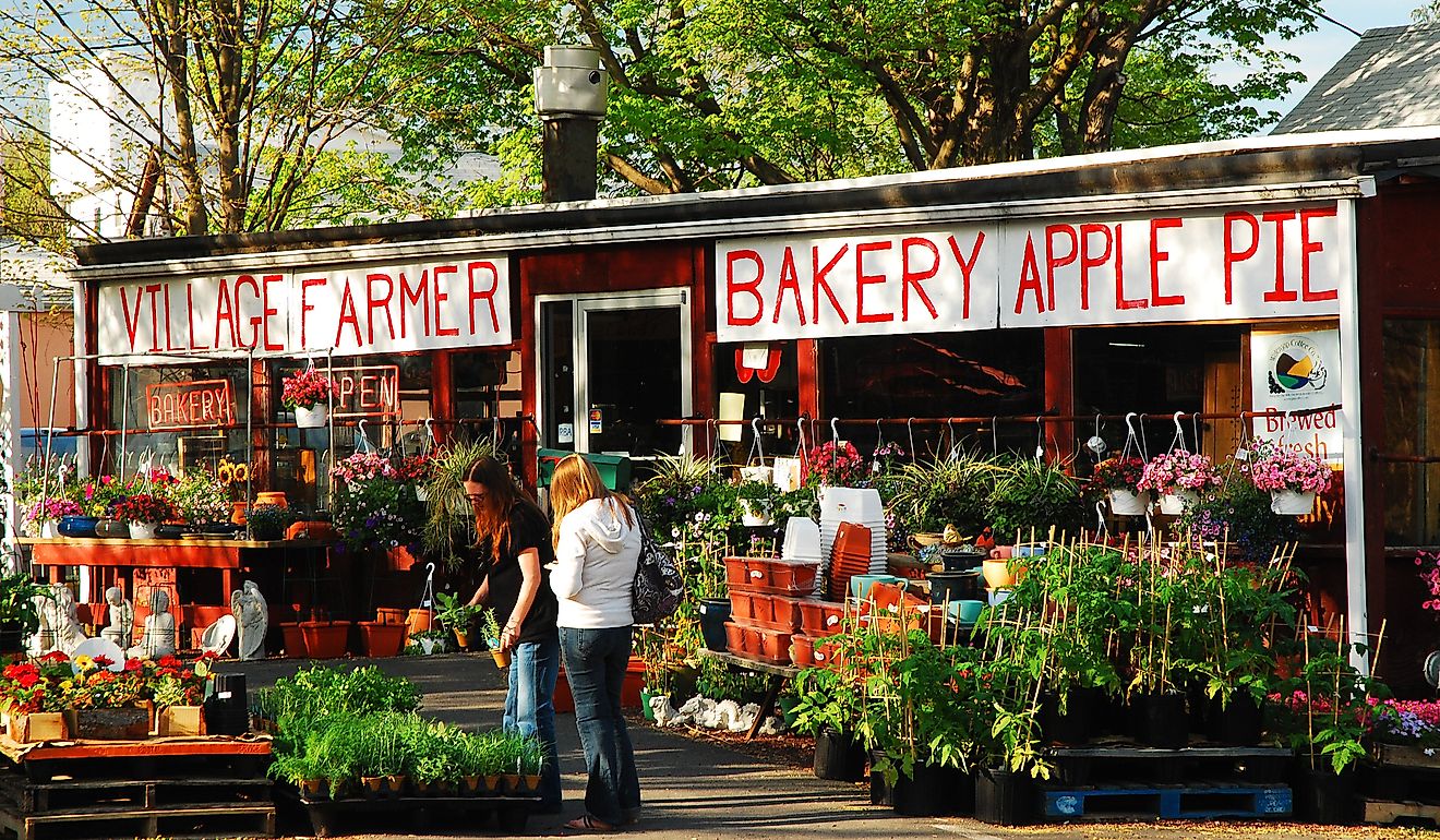 A roadside farm stand in Delaware Water Gap, Pennsylvania. Image credit: James Kirkikis / Shutterstock.com. 