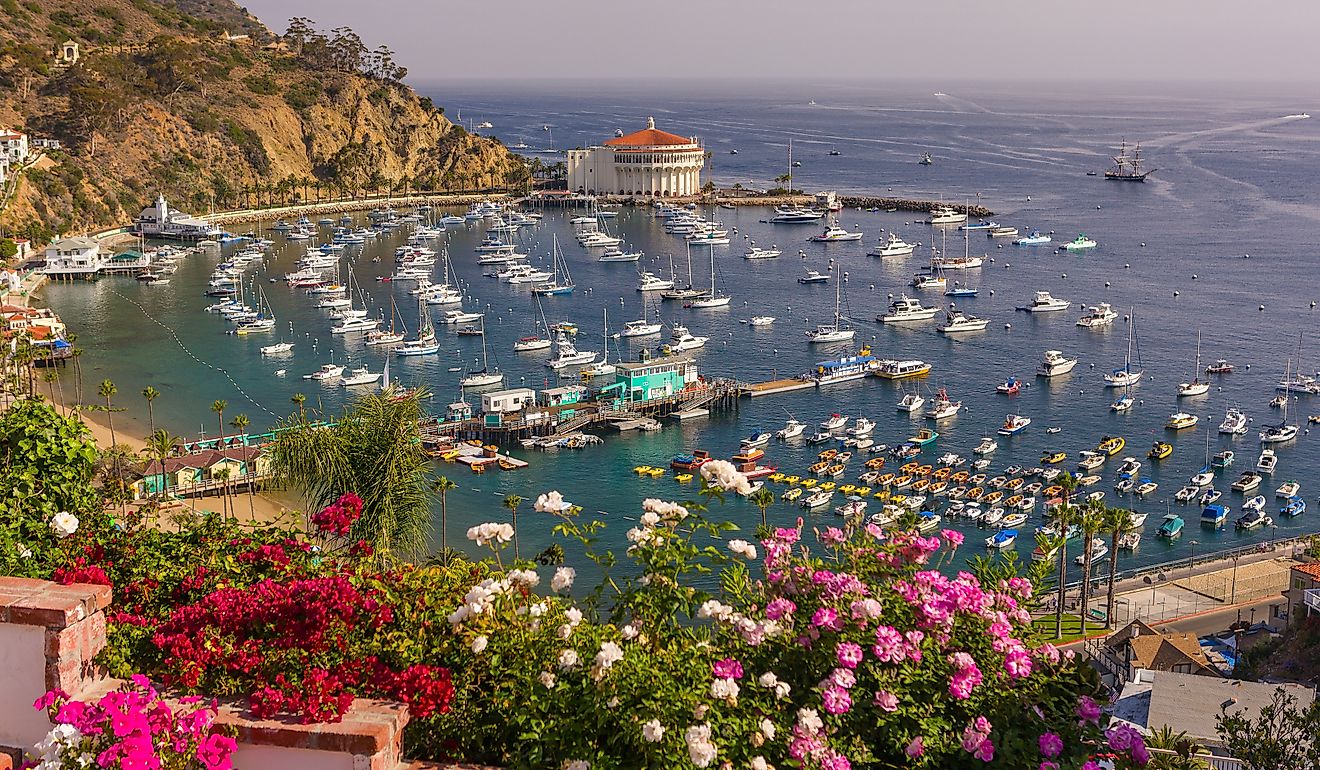 Flowers, harbor, and Casino in the town of Avalon, Santa Catalina Island. Editorial credit: Rob Crandall / Shutterstock.com