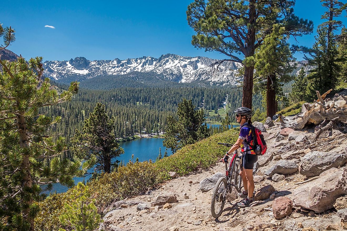 Woman mountain biking in the wilderness of Mammoth Lakes, California, USA.