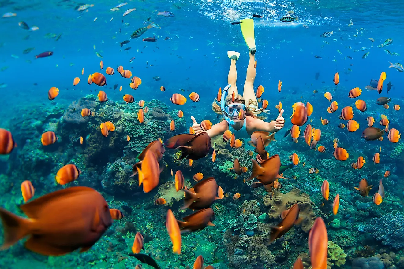 Water sports like scuba diving are extremely popular in Maldives. Image credit: Denis Moskvinov/Shutterstock.com