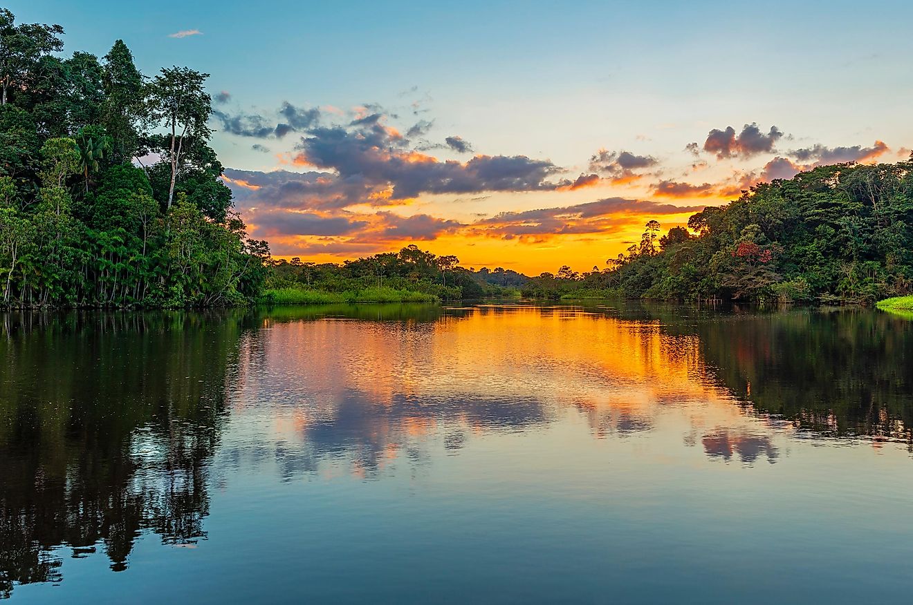 This tribe doesn’t have a name, and it was discovered by a group of tourists that were traveling through the jungles of Peru.