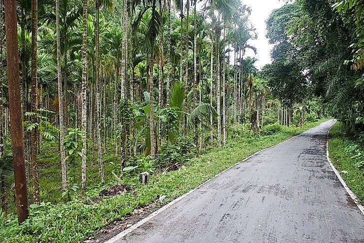 The construction of National Highway 223 (the Great Andaman Trunk Road) has been one of the biggest disruptions in history to the life of the Jarawa.