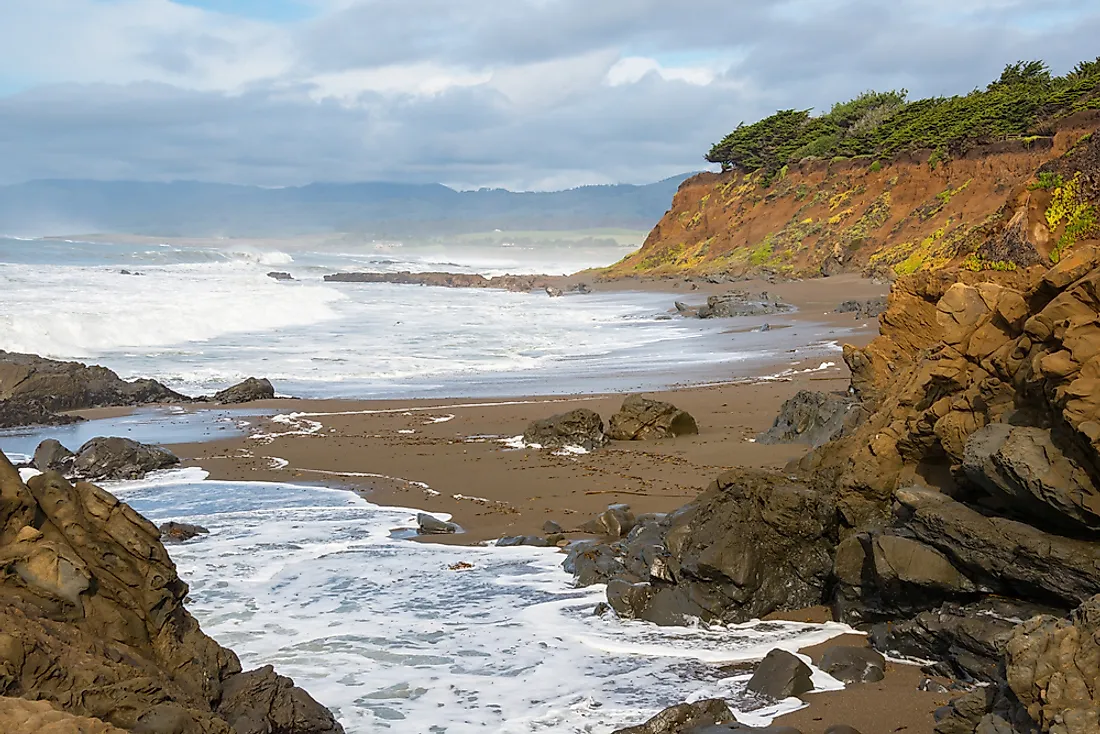 The intertidal zone is the habitat to numerous types of small organisms.