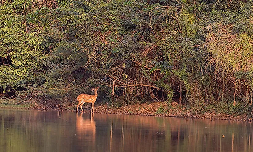 Comoé National Park in  Ivory Coast.