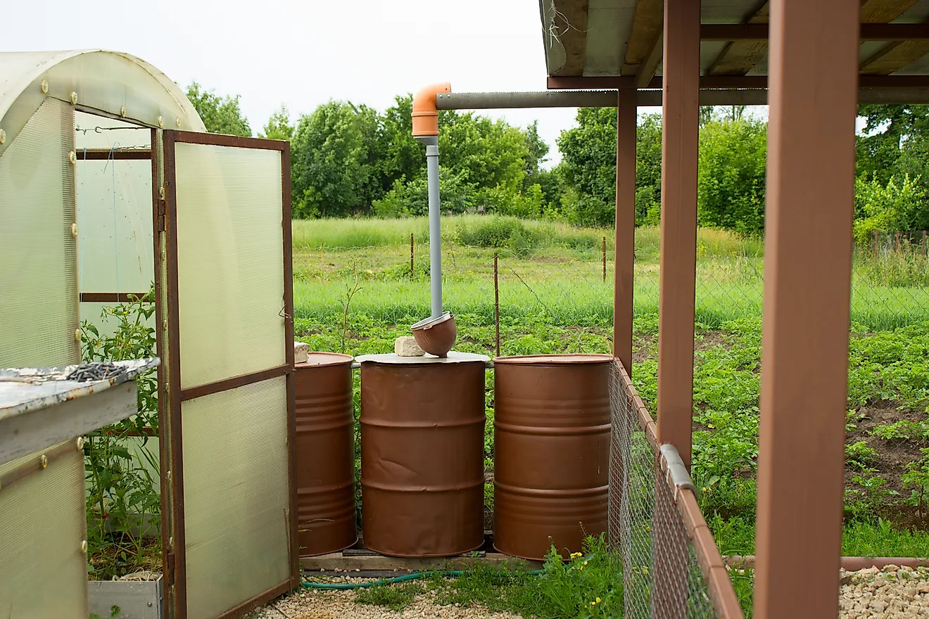 Barrels for collecting rainwater for watering the garden.