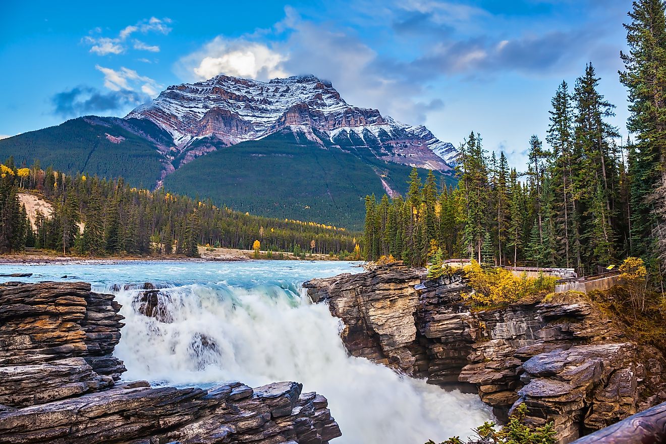 Athabasca Falls near Jasper, Alberta.