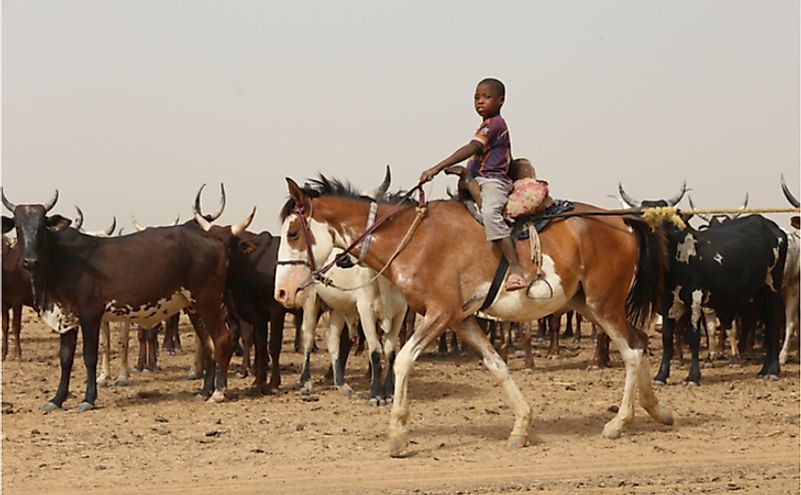 A village scene in Dagala, Chad. Editorial credit: BOULENGER Xavier / Shutterstock.com