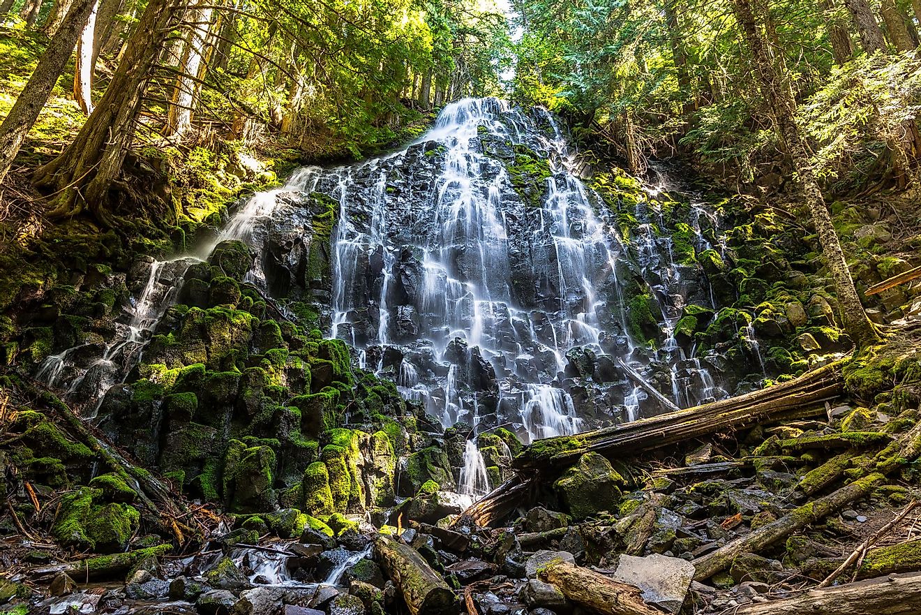 Ramona Falls in Mount Hood National Forest