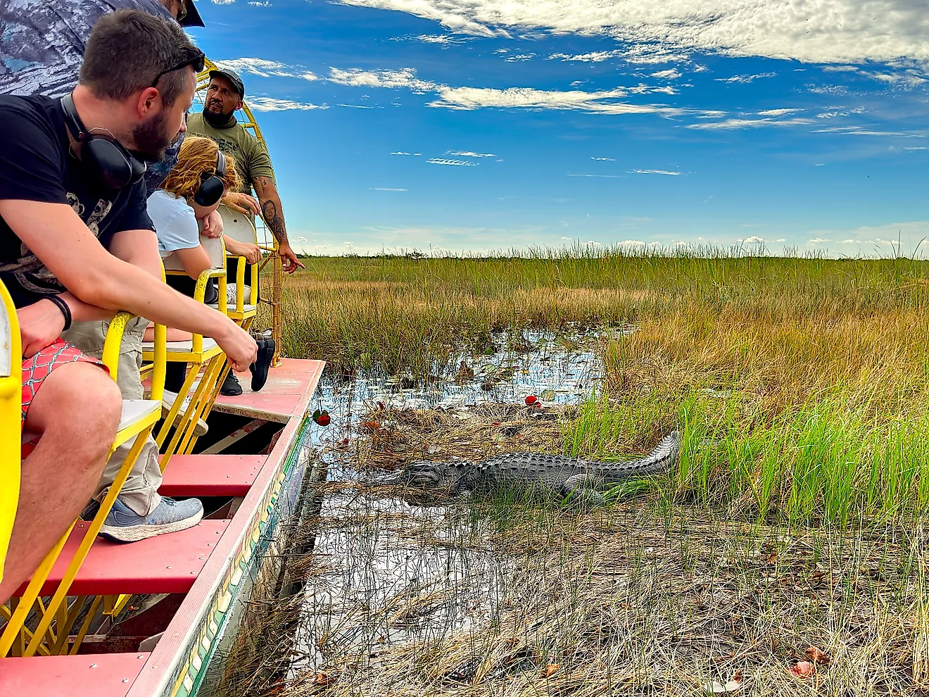 Tourists on an airboat ride looking at an alligator among reeds in the Everglades National Park, Florida. Image credit: Ceri Breeze / Shutterstock.com.