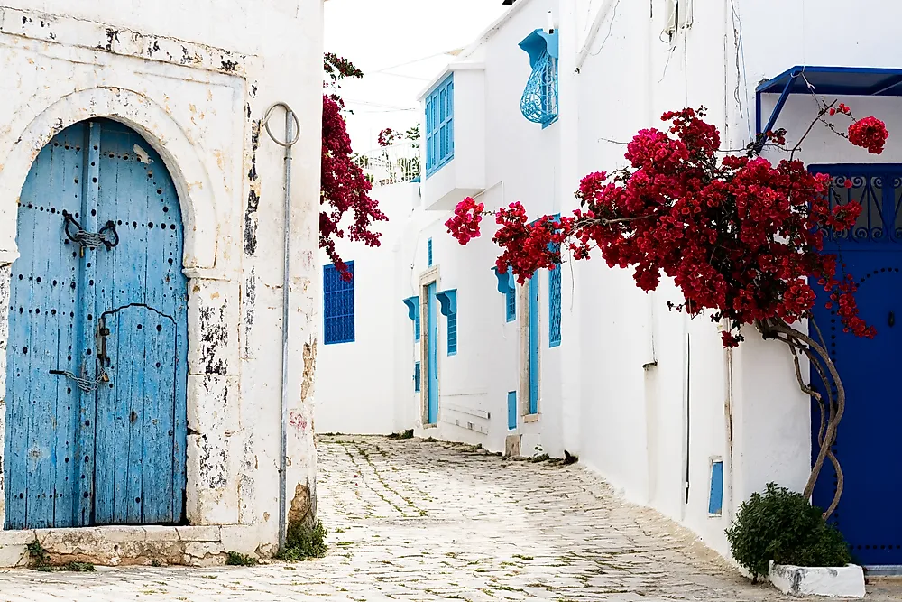 The city of Sidi Bou Said is famous for its blue and white painted buildings. 