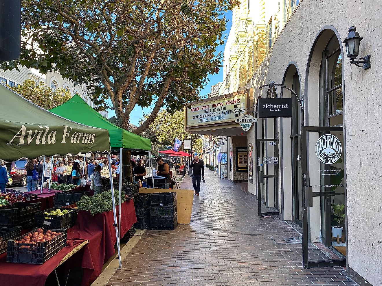 Tuesday Farmers Market on Alvarado Street. Photo: Andrew Douglas