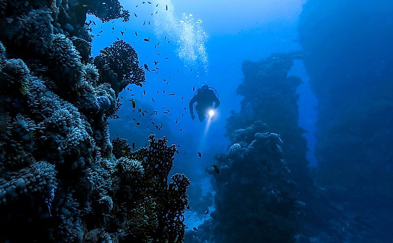 A diver enters the fascinating underwater world.