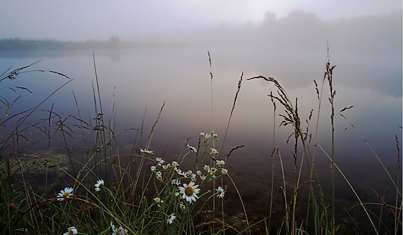 The fog in Big Bone Lick State Park. 