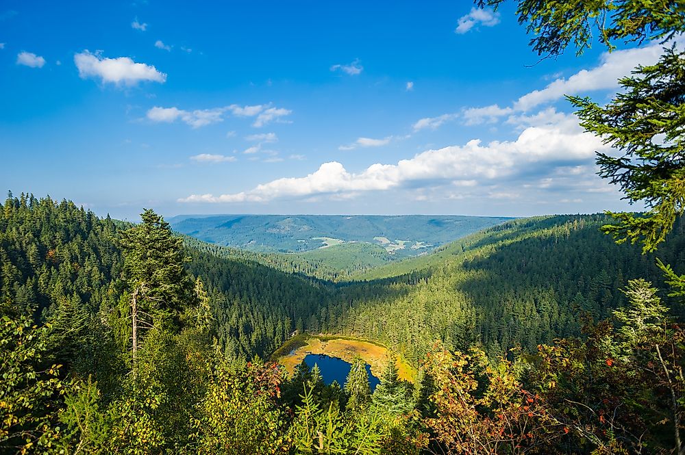 Black Forest National Park, Germany. 