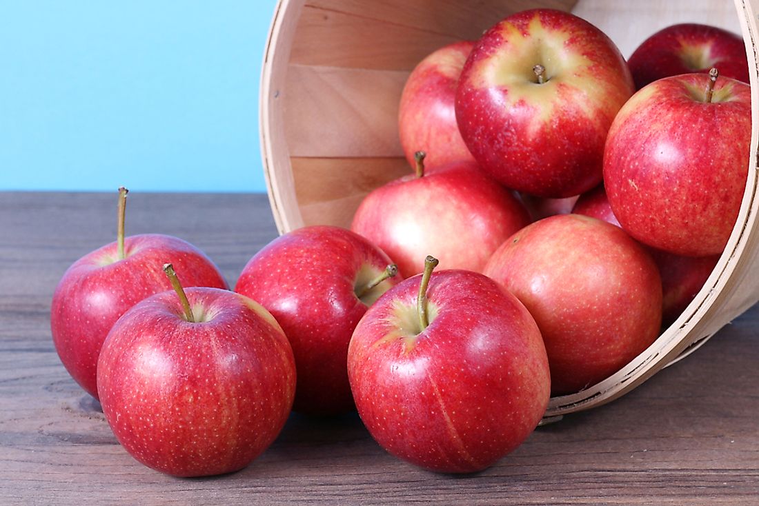 The Most Popular Types Of Apples, Explained