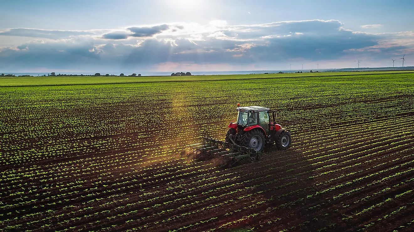 Agriculture can have a massive impact on the ecosystems surrounding it.