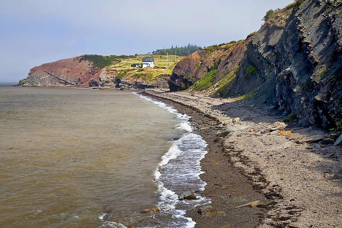  The Joggins Fossil Cliffs, Nova Scotia. 