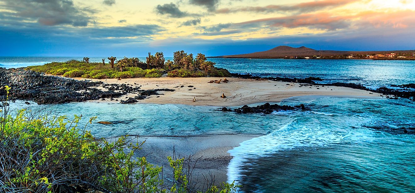 Galapagos Islands, Ecuador. 