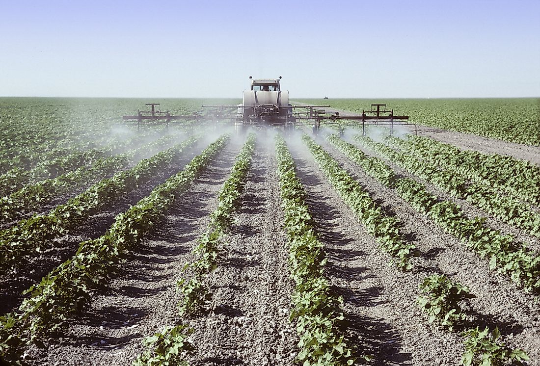 Crops in the San Joaquin Valley. 