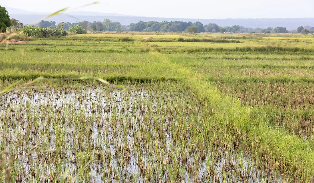 Roughly 20% of Burkina Faso's total land area is considered arable.