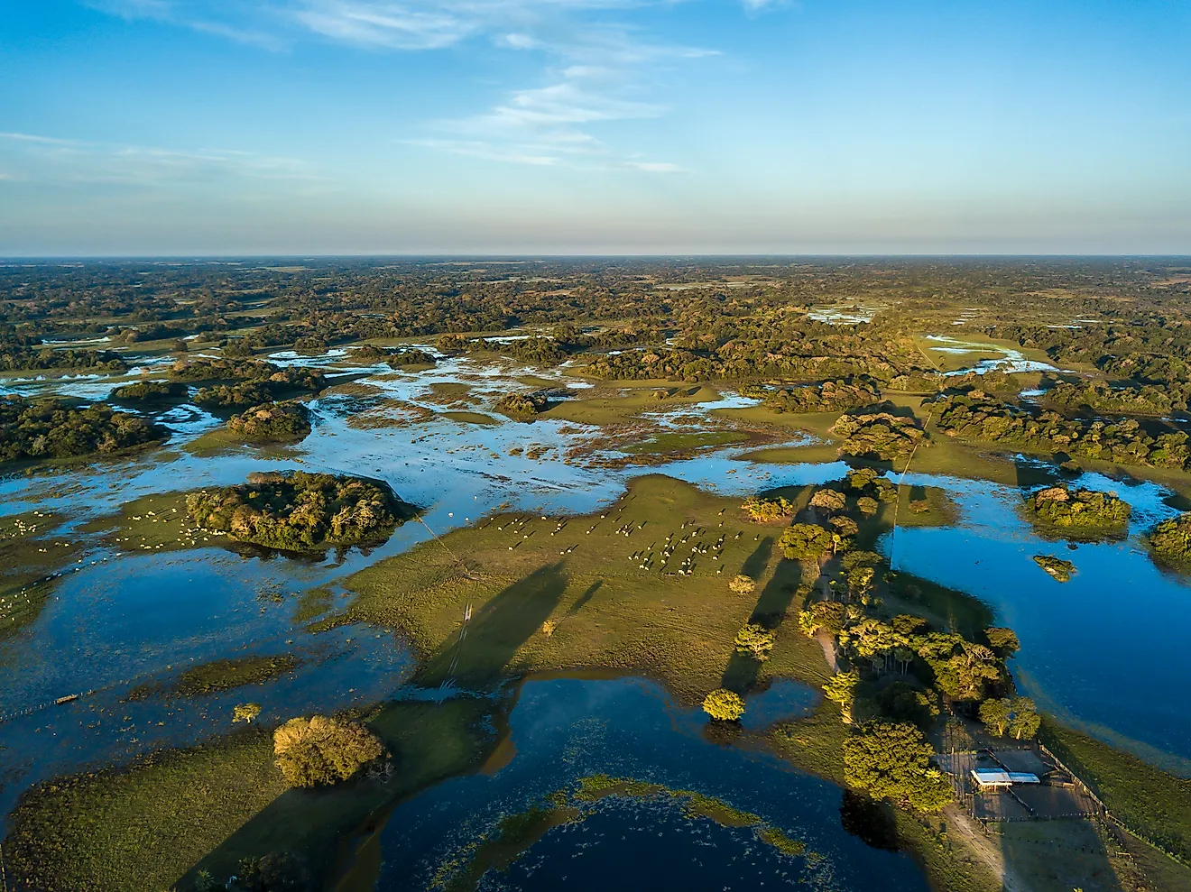 Pantanal photographed in Corumba, Mato Grosso do Sul. Pantanal Biome.