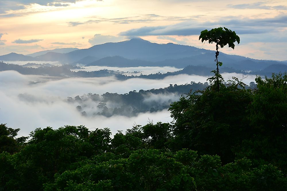 Borneo, Malaysia. 