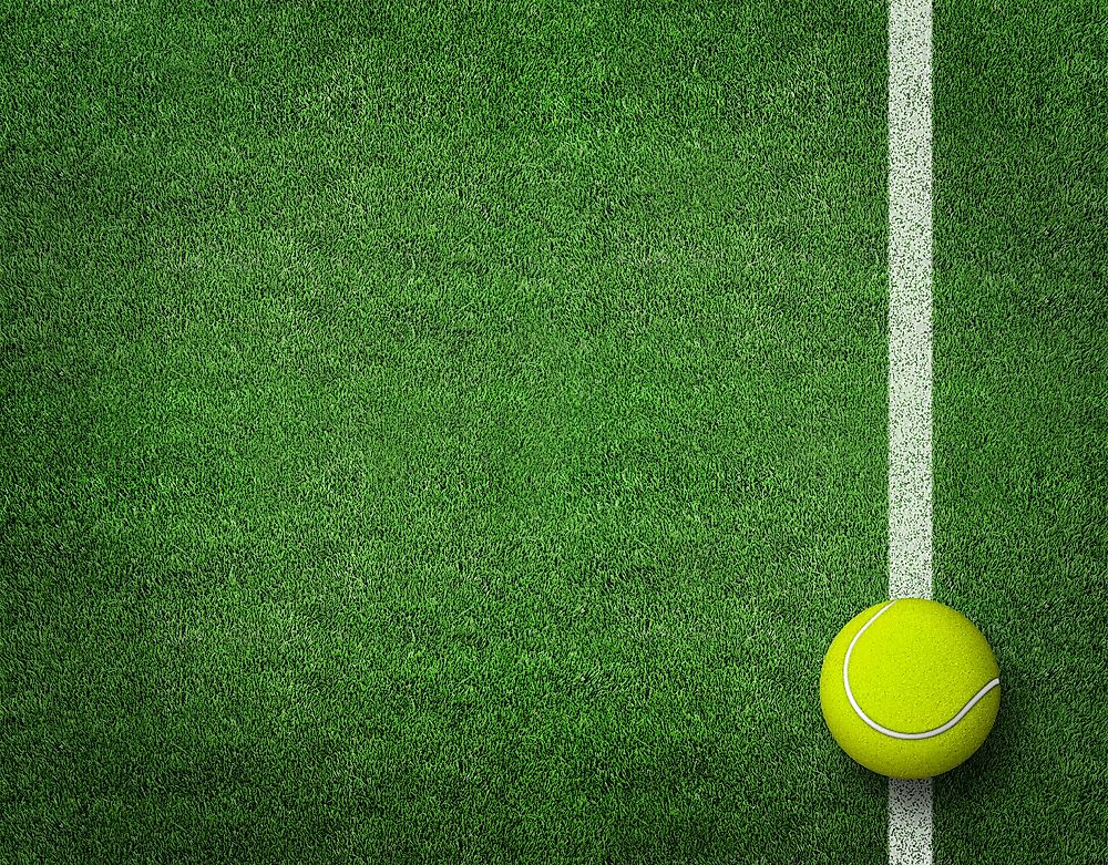 A tennis ball on a grass tennis court.