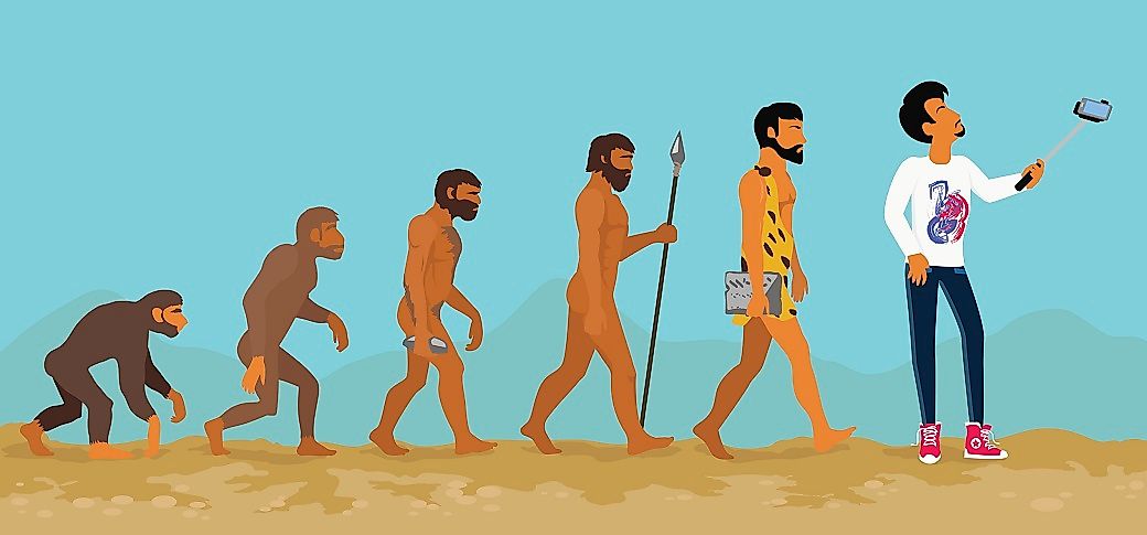 evolution of humans