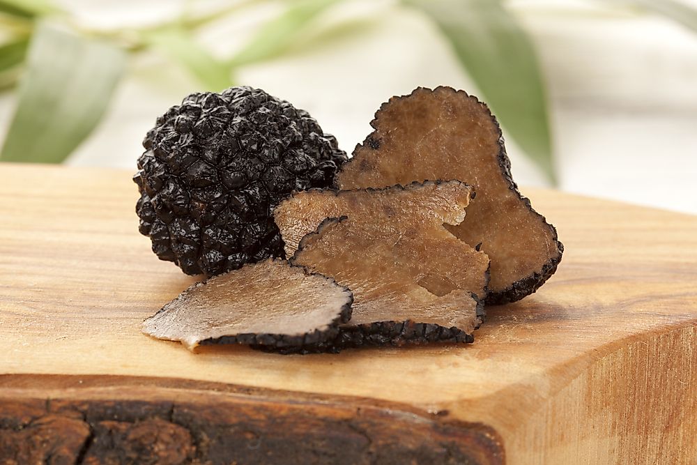 Black truffle mushrooms are used in many types of high-end cuisine.