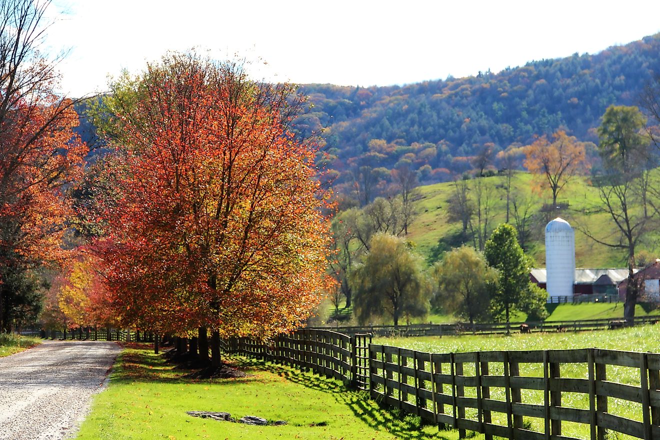 A quiet road in Salisbury, Connecticut.
