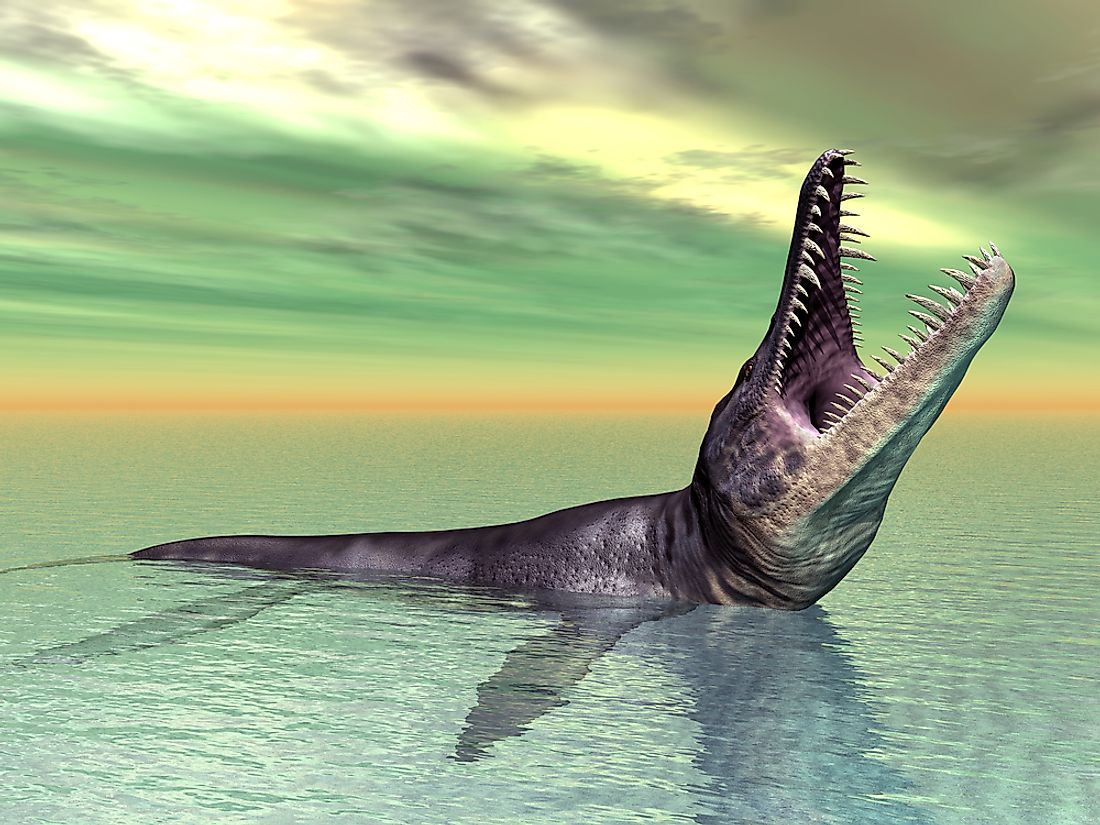 A computer generated replication of a liopleurodon, just one of the interesting animals from prehistoric times. 