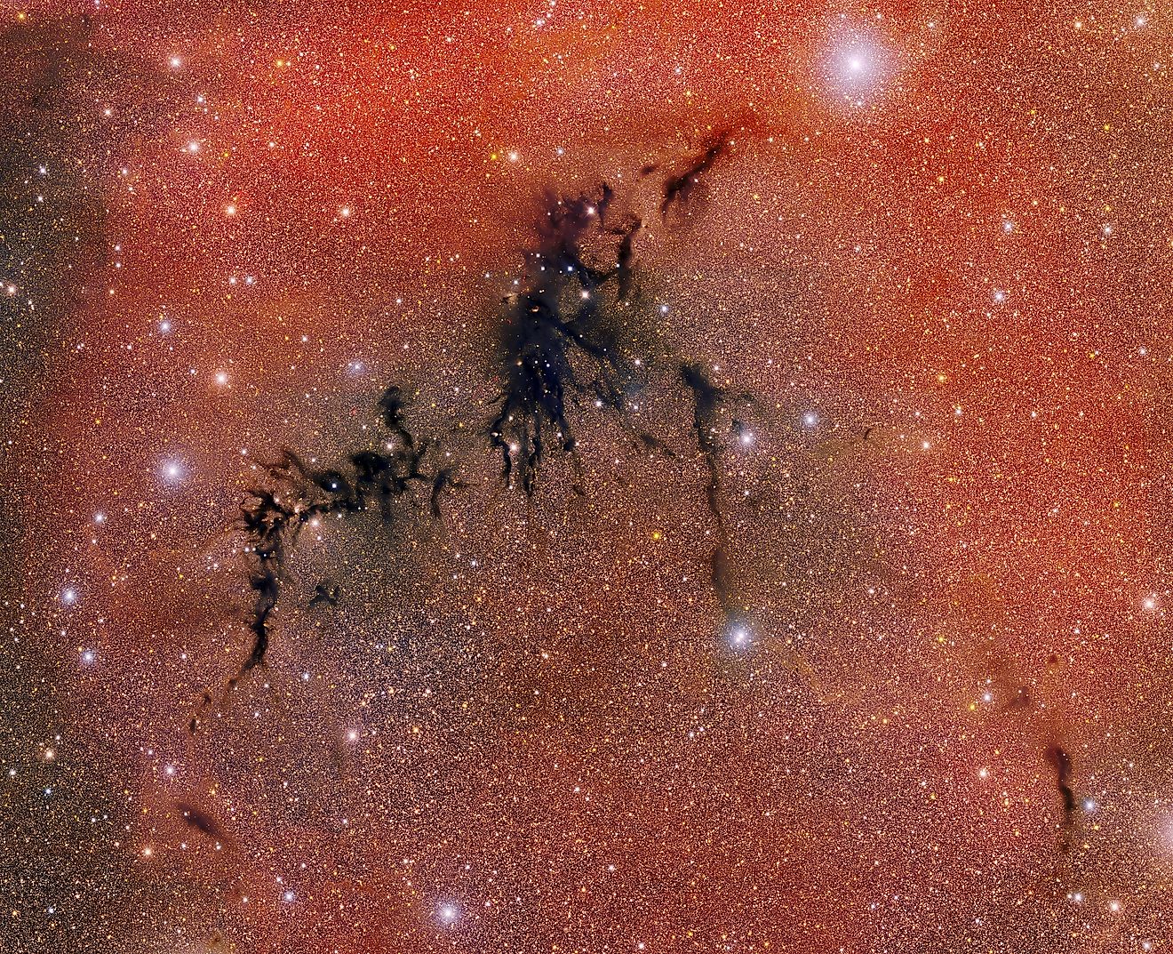 The Dark Energy Survey's camera imaged the Circinus West Molecular Cloud with its super-powerful lens. CTIO/NOIRLab/DOE/NSF/AURA Image Processing: T.A. Rector (University of Alaska Anchorage/NSF NOIRLab), D. de Martin & M. Kosari (NSF NOIRLab), CC BY 4.0 