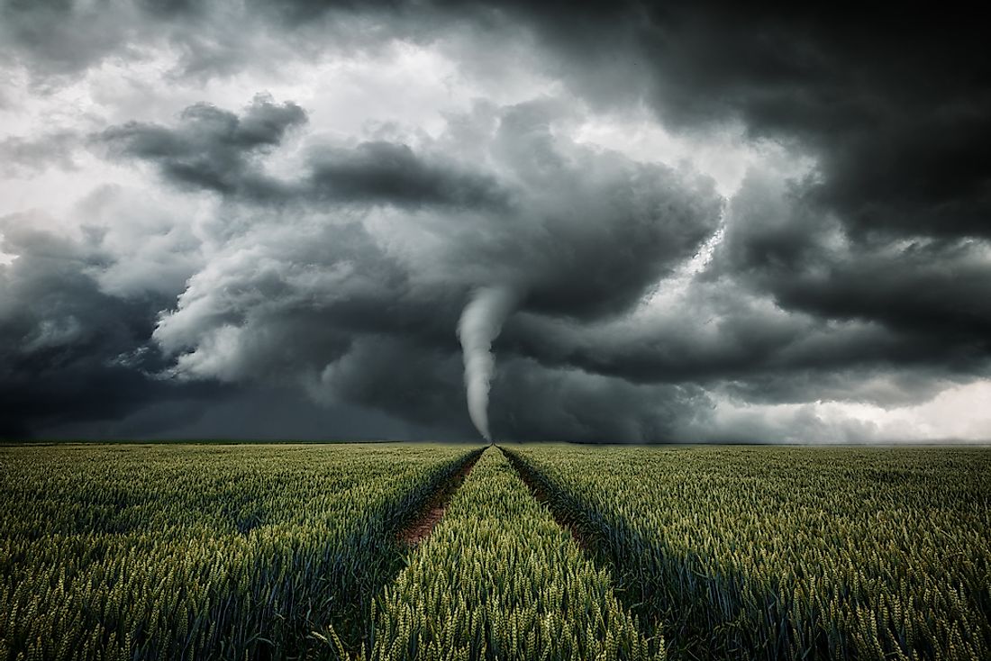 Most tornadoes have a distinctive funnel shape. 