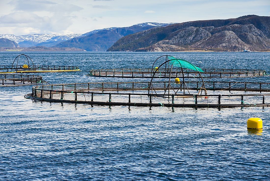 A Norwegian fish farm. Aquaculture is an important industry in the country. 