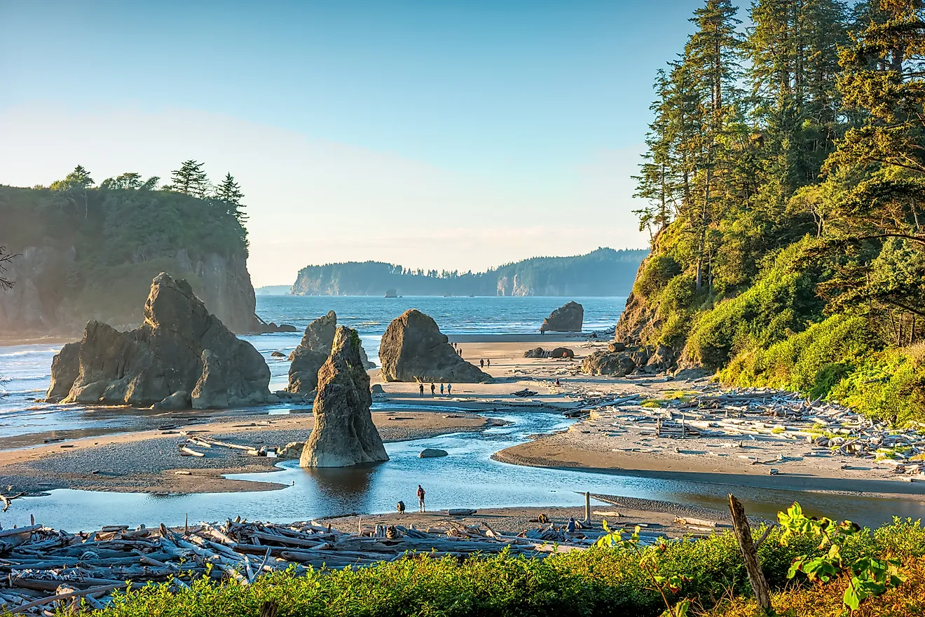 Olympic National Park Ruby Beach Washington