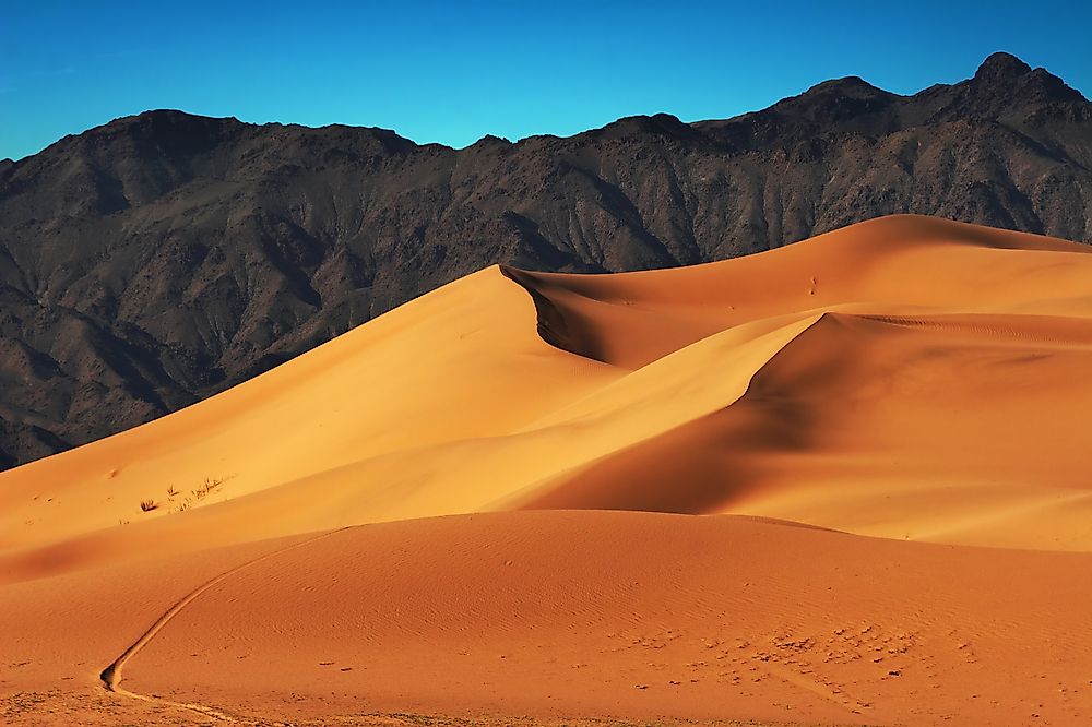 The Mongolian Death Worm is believed to live beneath the sand of the western and southern Gobi Desert. 