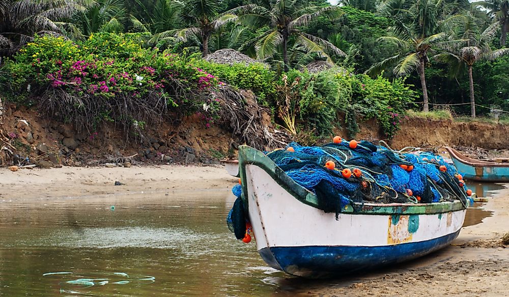 Fishing boats along the Coromandel Coast.