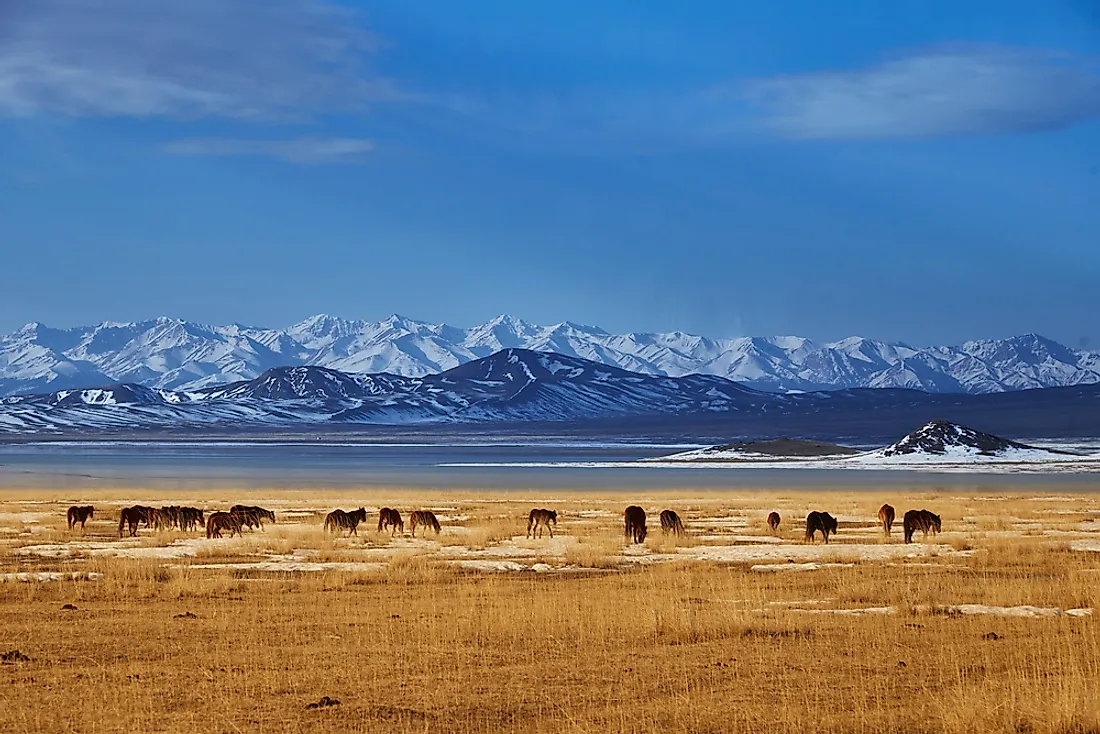 Khan Tengri is the largest mountain that can be found in Kazakhstan. 